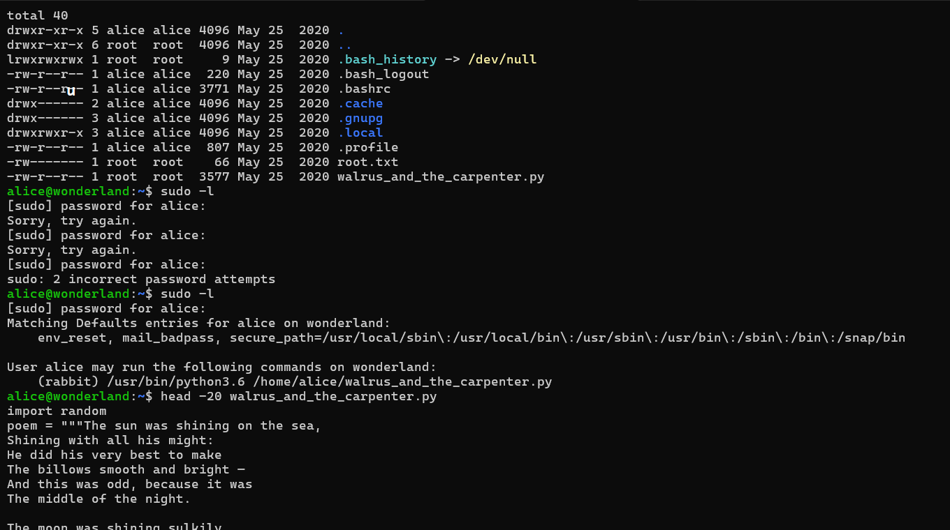 Sanitized terminal output showing sudo permissions and a Python script that imports random